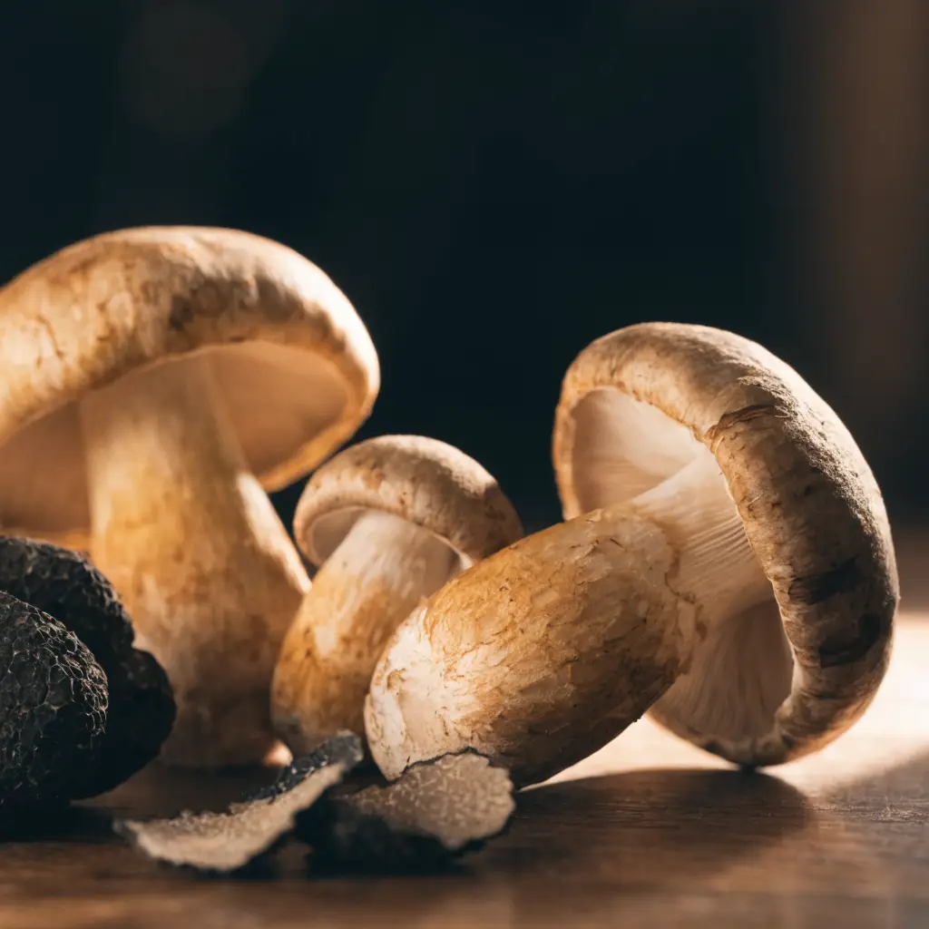 Pilz- und Trüffelgerichte
